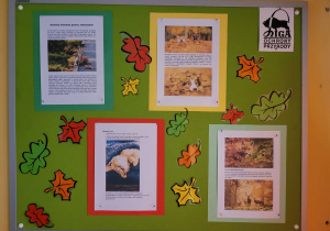 Na tablicy przedszkolnego koła LOP znajdują się informacje dotyczące tego, jak można pomóc zwierzętom przetrwać trudy zarówno późnej jesieni i nadchodzącej zimy.